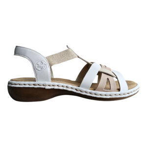 ARIE 65918-81